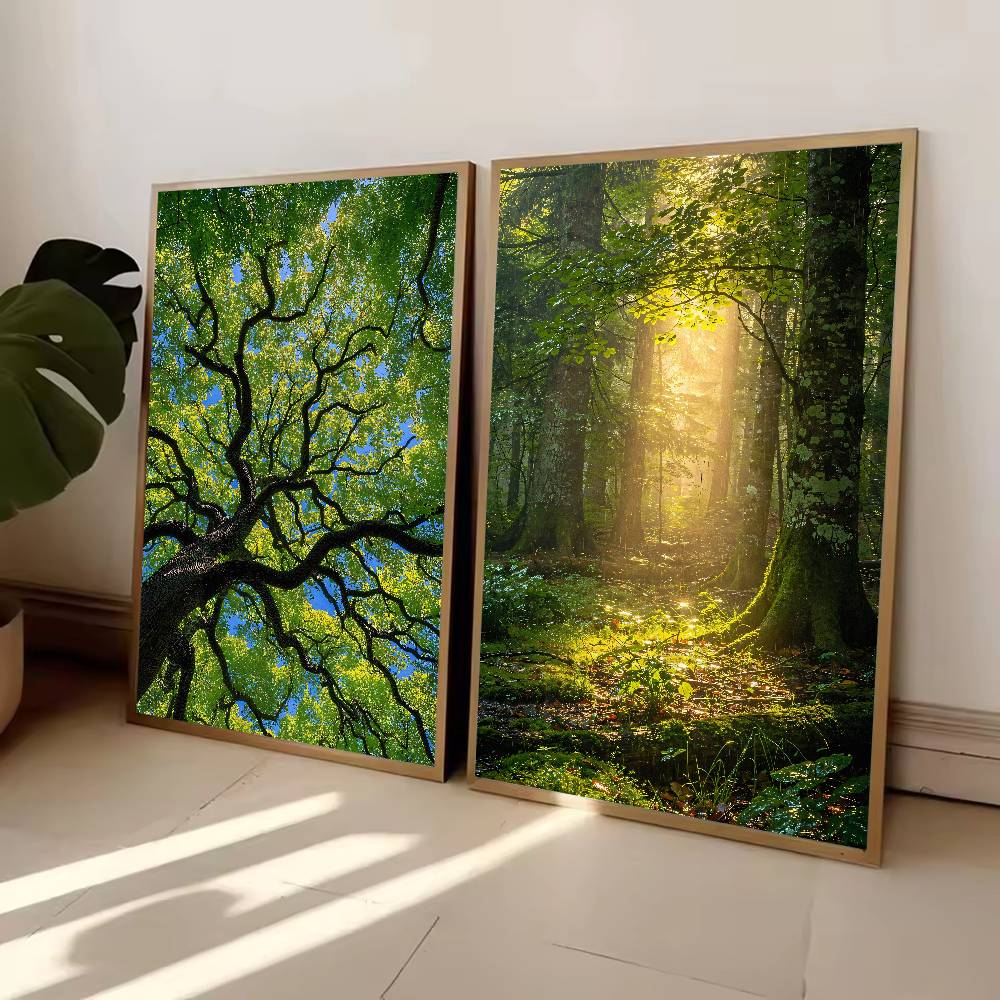 Sunbeam Forest Nature Poster,  - Wall Decor Lighting Tree recension och pris