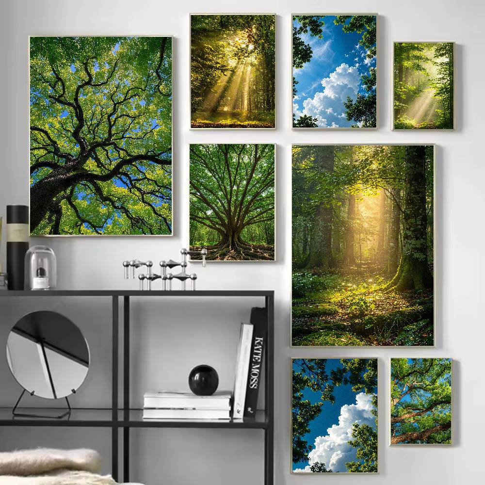 Sunbeam Forest Nature Poster,  - Wall Decor Lighting Tree recension och pris